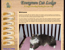 Tablet Screenshot of evergreencatlodge.com